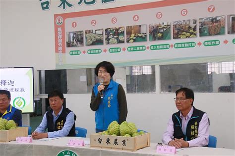 為臺東鳳梨釋迦輸出大陸地區 縣府訂定檢疫措施規範 饒慶鈴：持續為農民拚出口！ 中央社訊息平台