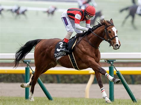 【ラジオnikkei賞想定騎手】ウインマクシマムは松岡正海騎手、サトノシュトラーセはmデムーロ騎手 競馬ニュース Netkeiba