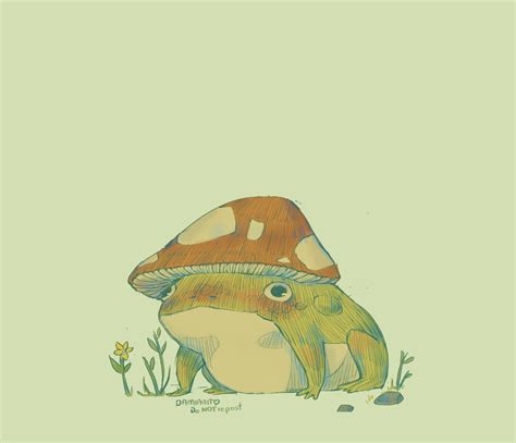 Discover More Than Frog With Mushroom Hat Wallpaper Latest In