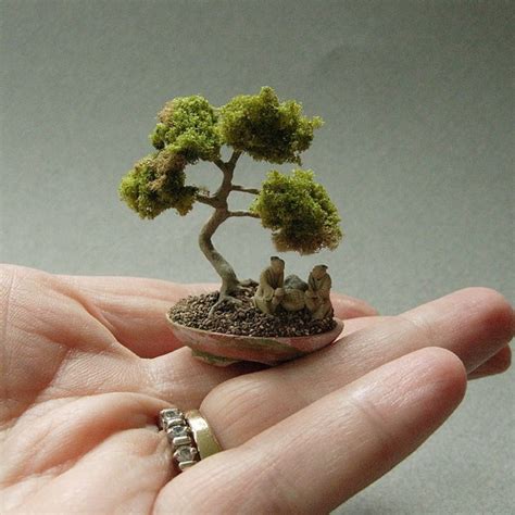 Chia S Kinh Nghi M Tr Ng C Y Bonsai Mini