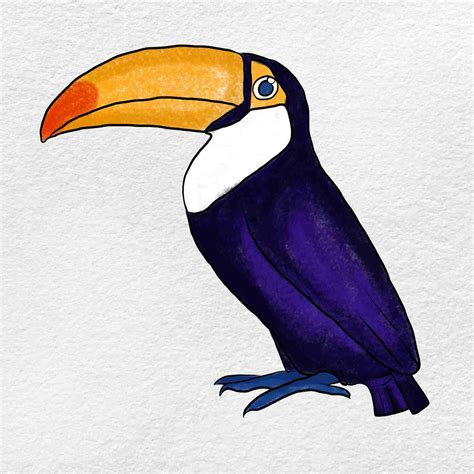 How To Draw A Toucan Helloartsy