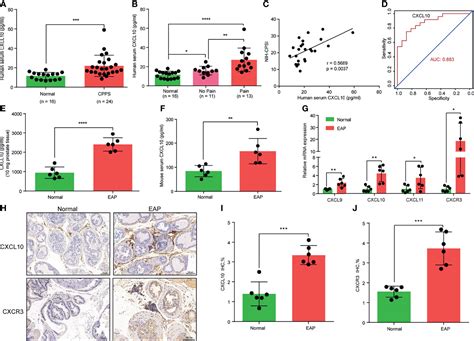 Frontiers Pathogenic Roles Of CXCL10 In Experimental Autoimmune