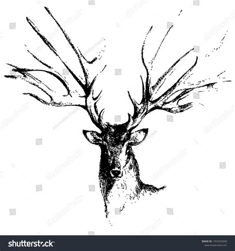 Elk Hand Drawn Vector Illustration Wild Animal Ad Affiliate