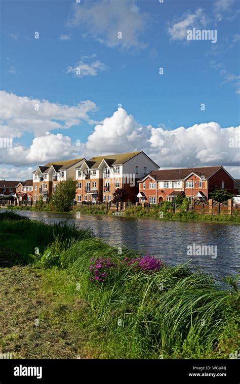 Thorne hi-res stock photography and images - Alamy