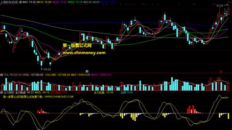 主力跟踪指标（副图 通达信 贴图）自己导出的无加密公式，分享给大家辅助参考一下下载通达信公式好公式网
