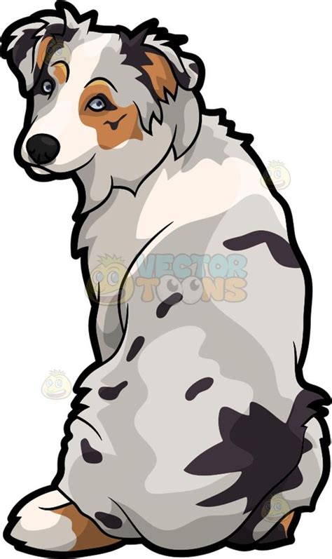 A Lovely Australian Shepherd Dog Cartoon Stock Clip Art • Vector Toons