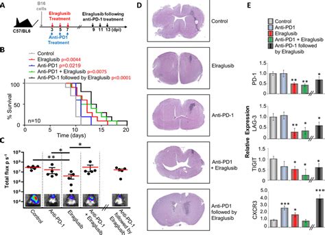 Sequential Treatment Of Anti Pd Therapy Followed By Elraglusib