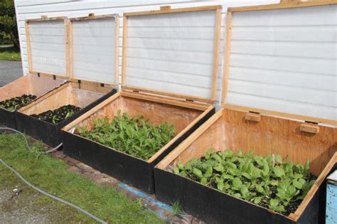 How To Build Cold Frames For A Raised Garden Bed Dengarden