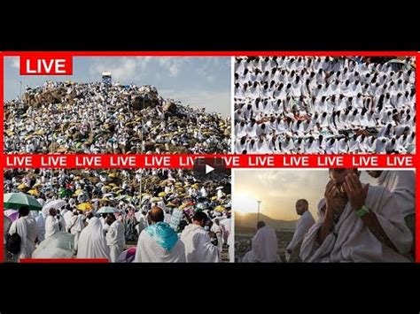 Live Hajj Live Mina Tents Arafat Day Mecca Live