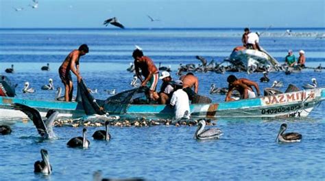 Comisión Nacional De Acuacultura Y Pesca Festeja 19 Años En Un Mar De