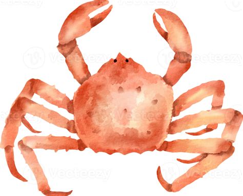 Watercolor King Crab 16529916 Png