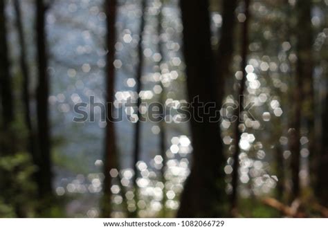 Abstract Green Forest Bokeh Background Stock Photo 1082066729