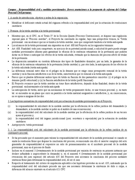 Campos Responsabilidad Civil Y Medidas Provisionales Pdf Mandato