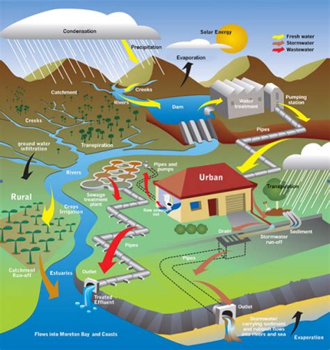 The Water Cycle Ecoeducation Service