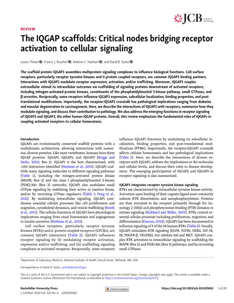 Pdf The Iqgap Scaffolds Critical Nodes Bridging Receptor Activation