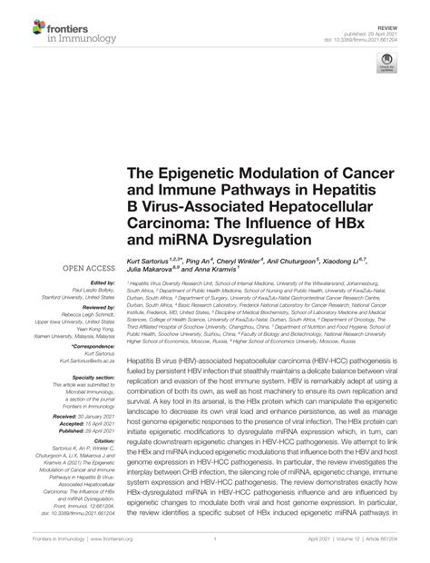 Pdf The Epigenetic Modulation Of Cancer And Immune Pathways In