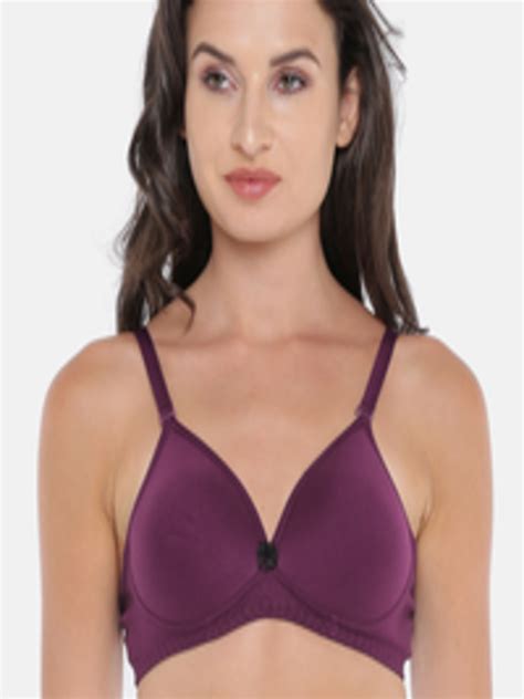 Buy Lovable Purple Solid Non Wired Lightly Padded Everyday Bra Bra