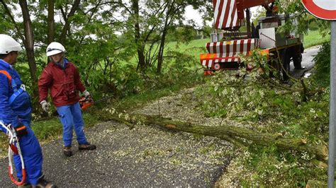 Danni Maltempo Reggio Emilia Alberi Caduti E Tetti Danneggiati