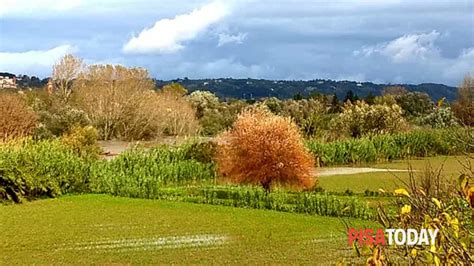 La Rotta A Pontedera Piena Dell Arno