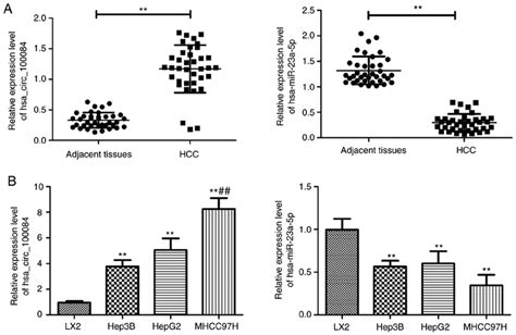 Relative Expression Levels Of Hsa Circ And Hsa Mir A P In Hcc