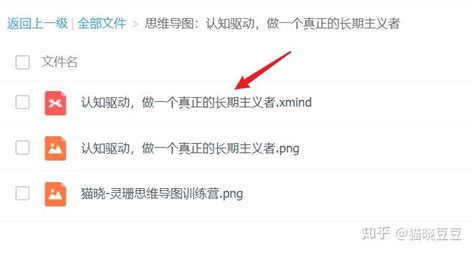 如何用 Xmind 制作实用且颜值高的竖屏导图？（三） 知乎