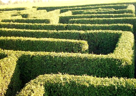 Irrgarten Oder Labyrinth Im Garten Anlegen