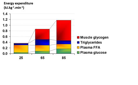 REGULATION OF FAT METABOLISM DURING EXERCISE