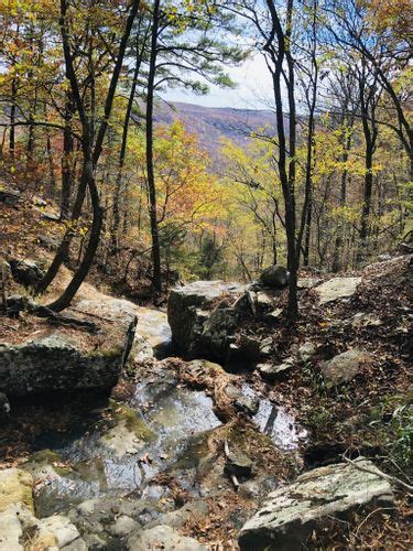 Best Hikes And Trails In Wilderness Rider Buffalo Ranch Alltrails