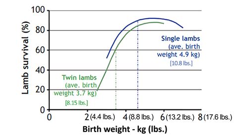 Lamb Birth Weights In Relation To Lamb Survivability