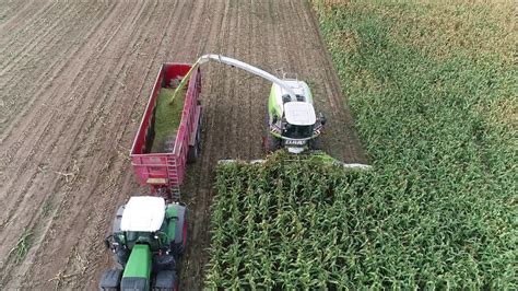 Claas Jaguar 980 Mais Ernte Corn Harvest Youtube