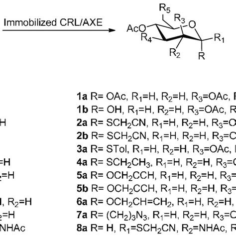 Scheme 1 Regioselective Enzymatic Hydrolysis Of Peracetylated