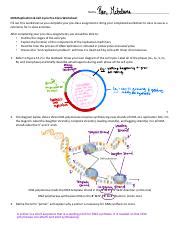 Week B Dna Replication Reading Guide Pdf Then Mcglone Name Dna