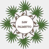 Buy Natures Velvet Lifecare Saw Palmetto Mg With Biotin Mcg