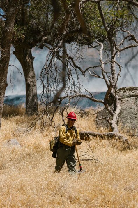 Técnico Profesional en Medioambiente y Gestión Forestal Instituto Exon