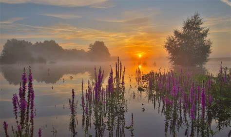 Fotowedstrijd Natuur Foto Van De Maand Natuurmonumenten