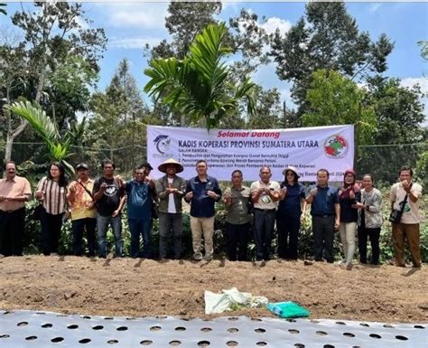 Tingkatkan Kesejahteraan Masyarakat Dinas Koperasi Ukm Dorong