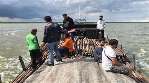 Penangkapan Tindak Pidana Illegal Logging Diperairan Merbau 3 200