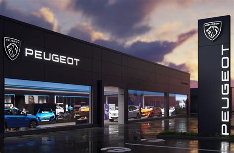 Peugeot - Garage Wire