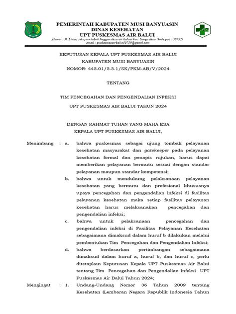 Sk Tim Ppi Puskesmas Ab 2024 Pdf