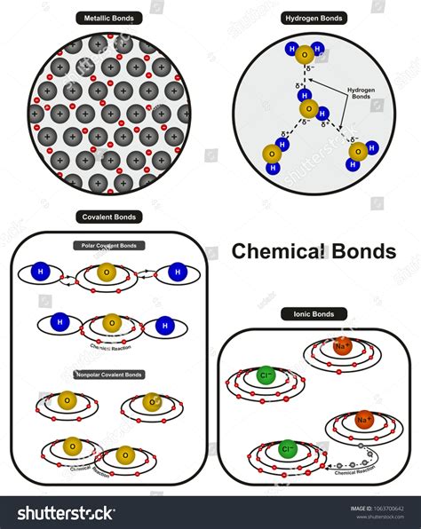 Chemical Bonds Infographic Diagram Showing Types Stock Illustration ...