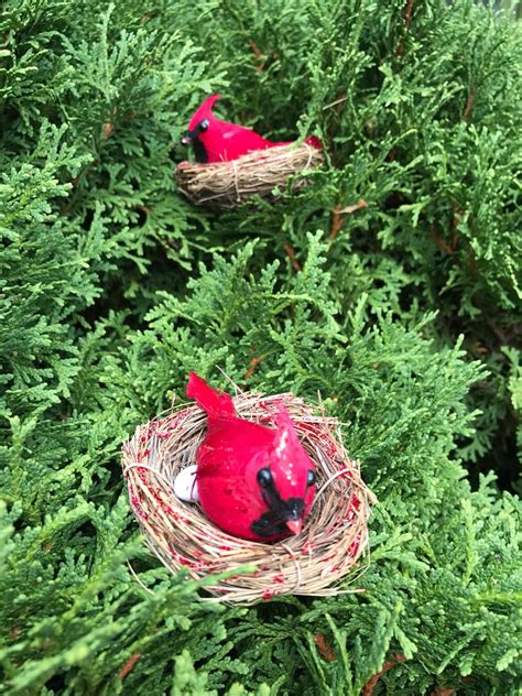 Cardinal in Nest with three eggs Christmas bird nest | Etsy