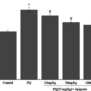 Effects Of Apigenin On The Activity Of Nf B P Dna Binding In The