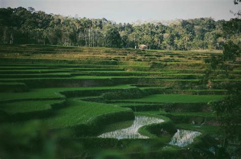 Sumba - a mini-guide to Indonesia's forgotten island | Journey's Intent