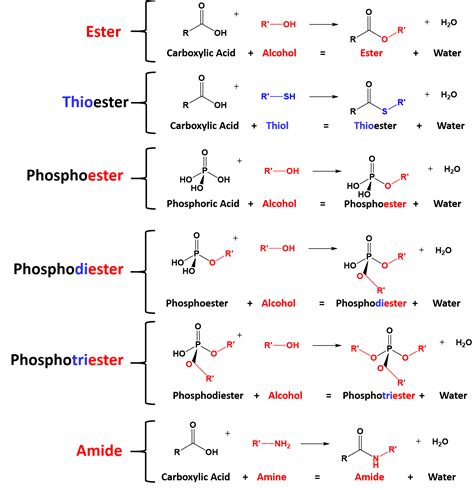 Nitrogen Functional Groups Organic Chemistry