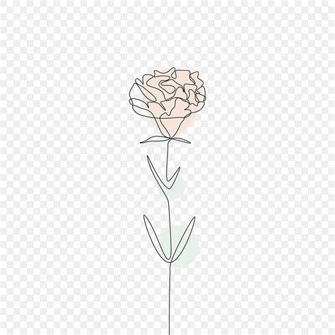 Gambar Gambar Seni Garis Kontinu Bunga Floral Menggambar Garis Seni