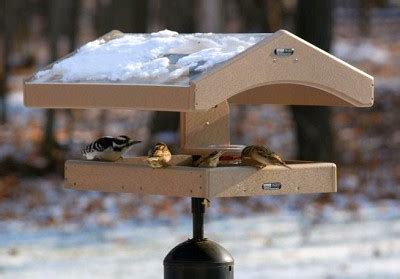 Birds Choice Recycled Plastic Covered Pole Mount Platform Bird Feeder w ...