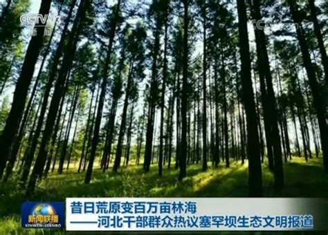 昔日荒原变百万亩林海河北干部群众热议塞罕坝生态文明报道 新闻频道 央视网 cctv