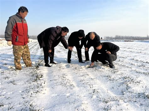 河北组织万名农技骨干走村入户指导农民“抗冰雪”凤凰网河北凤凰网