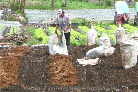 Guru Besar Ipb Ingatkan Petani Gunakan Pupuk Organik