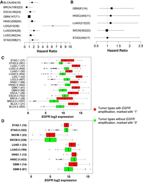 Association Of Egfr Amplification And Somatic Mutations With Patient